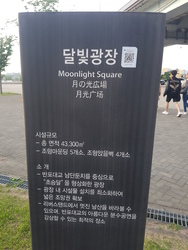 한강 달빛광장에서 단체대여가 있어서 다녀왔어요. 