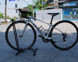 Specialized D olce Elite
