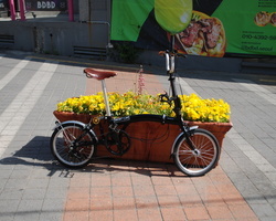 Brompton bike (촬영용)